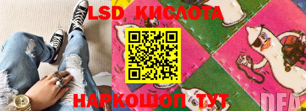 Наркотические марки  Вход с VPN  Новодвинск  Марки N-bome 1,5мг 