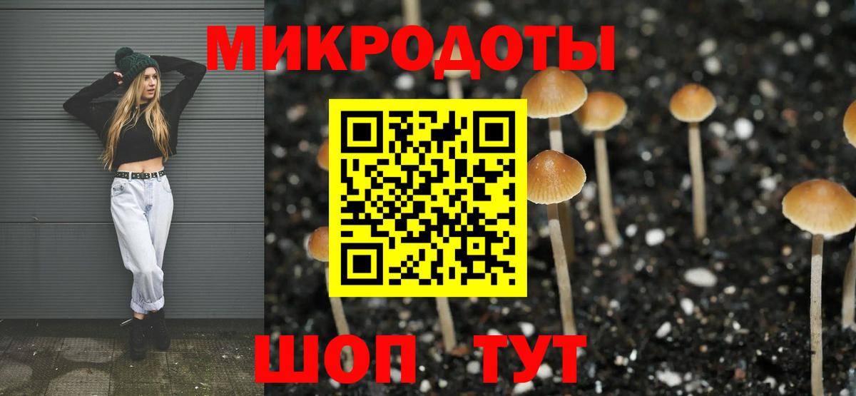 Галлюциногенные грибы GOLDEN TEACHER Новодвинск