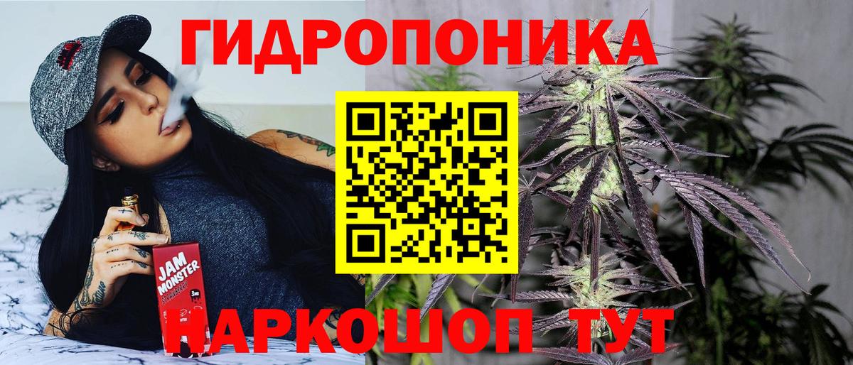 Бошки Шишки гибрид  Бошки марихуана планчик  Конопля VHQ  Новодвинск  Вход с VPN  Каннабис индика 